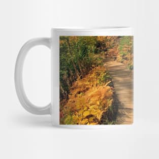 Caribou Falls Trail Full Color Mug